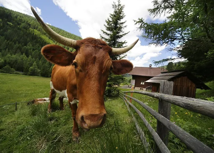 Gasserhuette Innerkrems