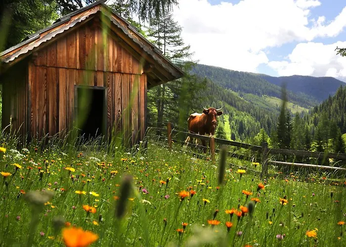 Guest house Gasserhuette *