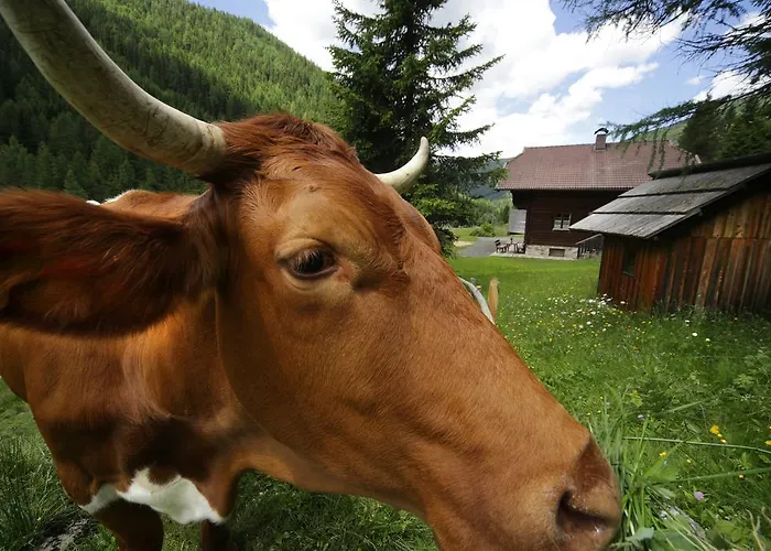 Gasserhuette * Innerkrems