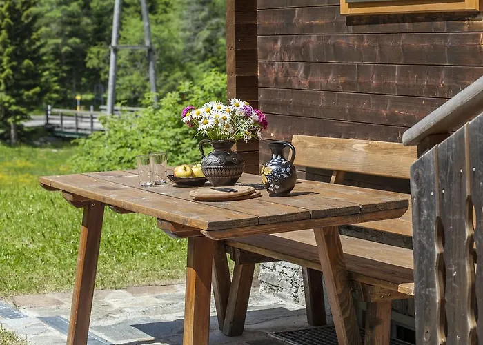 Guest house Gasserhuette *